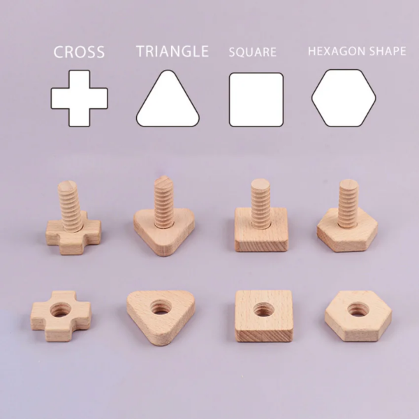 Les écrous et boulons à visser – Image 4